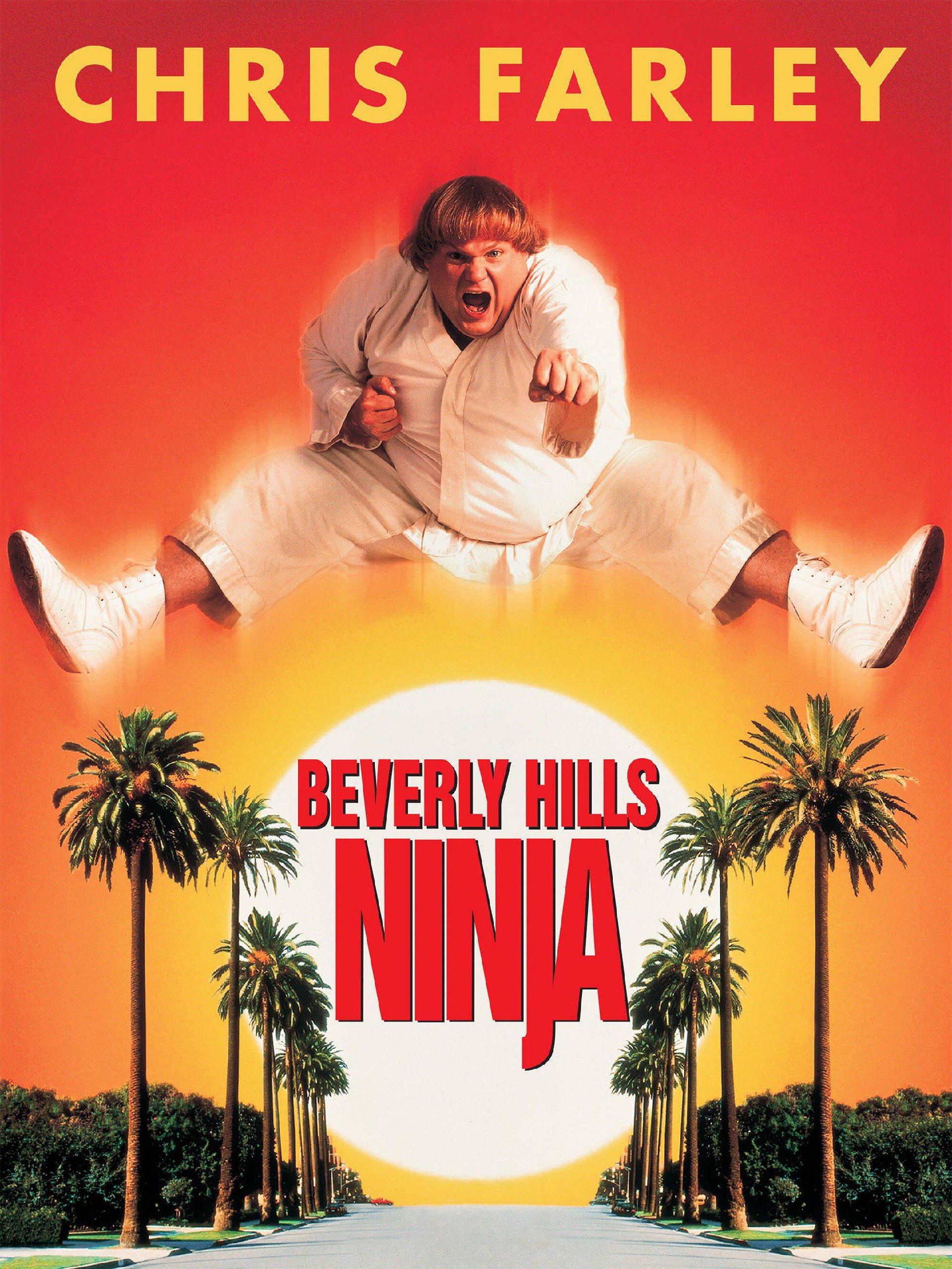 Beverly Hills Ninja movie poster